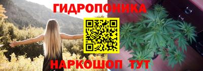 MDMA Кингисепп